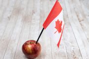 همه چیز درباره رژیم کانادایی: یک راهنمای کامل